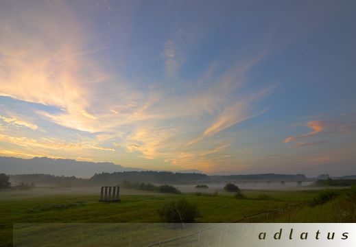 Wieczorne mgły - Rogalinek