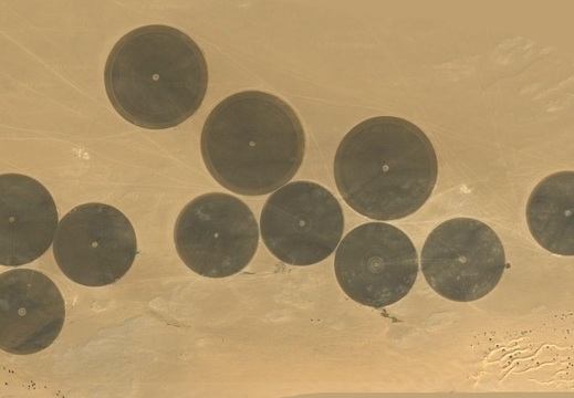 Zagadka od Ilony - co to jest?